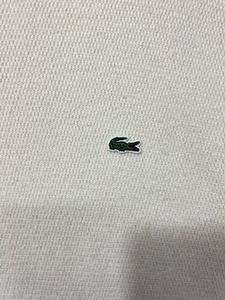 Men's Cream Lacoste Sweater