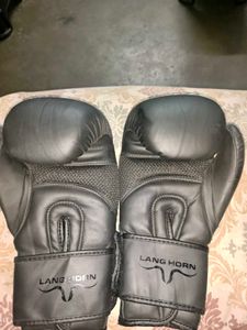 LANG HORN Boxing Gloves