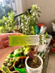 Pyary Ayurvedic Turmeric Soap