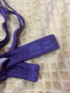 Purple Padded Bra