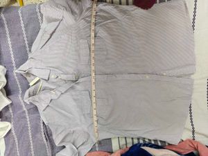 Classic purple Striped Button-Down Shirt