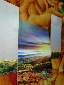 Hardboard  Penting