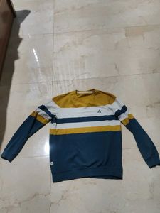 Striped Crewneck Sweatshirt