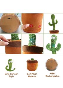 Dancing Cactus