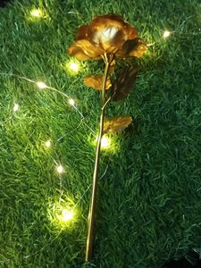 Golden Rose