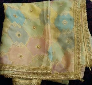Beautiful Pastel duppata