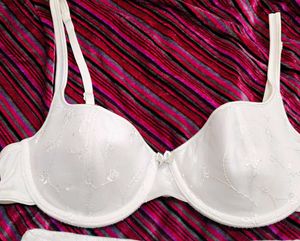 Elegant White Lace embroidery bra with brief 👍