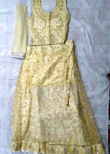 🆕 Lehenga Choli Party/Wedding Dress With CAN Ca