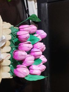 Tulip flower garden