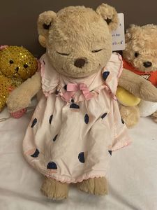 Cute Plush Bear in Dress