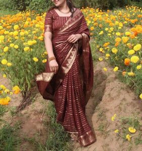 Seematti brown saree