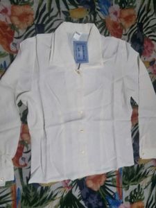 Elegant Cream Blouse