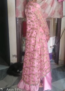 Pink Net Gawn