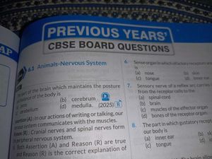 CBSE Class 10 Science &amp; MTG 📚
