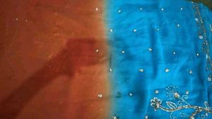 Beautiful Blue &amp; Pink Ombre Saree