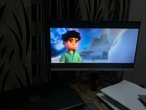 Lapcare 100hz monitor