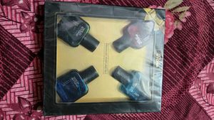 Wild Stone Premium Perfume Set