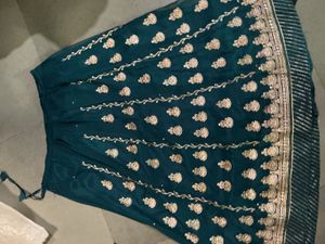 Embroidered Lehenga Choli Set