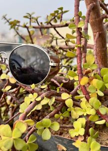 Unique Silver Sunglasses