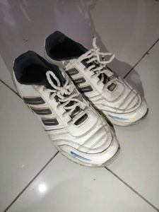 Men's White Sport Shoes