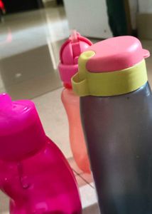 Set of 3 Kids Water Bottles