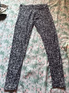 Zebra Print Leggings