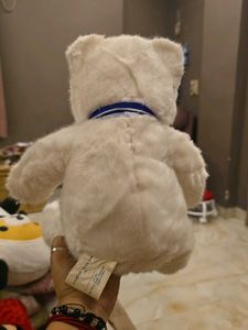 Collectible Limited Edition Teddy Bear ( BAB)
