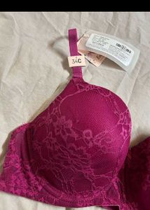 Elegant Lace Padded Bra for Everyday Comfort