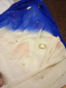Ombre Dupatta with Embellishments