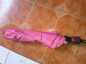 umbrella pink beautiful