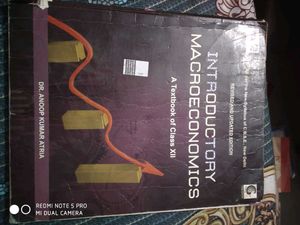 Introductory Macroeconomics Textbook for Class XII