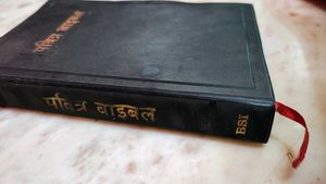 BSI Edition | Good Condition | Original Holy Bible