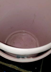 Durable Pink Plastic Bucket