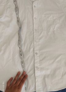 DIVINCI Shirt For Men