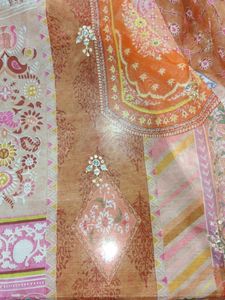 Pure Organza Work Duptta