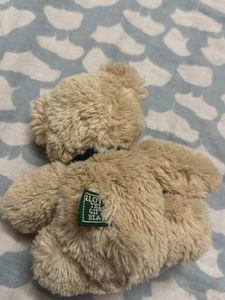 Cute Small Teddy Bear