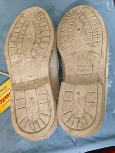 White Sports /School Shoes