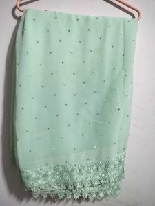 Stunning Pastel Green Embellished Saree