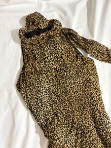 Brand New Zara Premium Collection