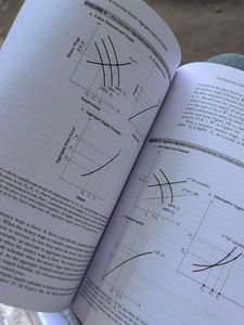 Macroeconomics: Theories and Policies