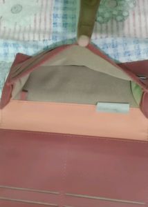 Baggit Brand Clutch