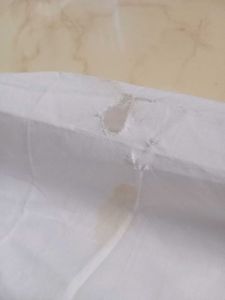 Comfortable White Fitted Bed cover with elastic