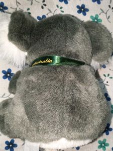 combo of Koala Plush with Garfield(good condition