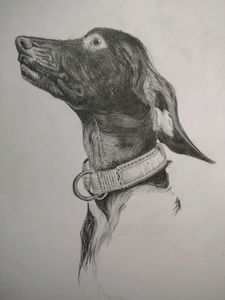 Coustmize Art Work 💝