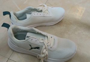 Puma White Sneakers