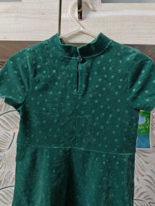 Green Velvet Polka Dot frock
