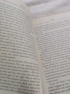 Small Island by Andrea Levy original book