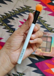 Seves seas Nude eyeshadow palette  + Colorbar brus