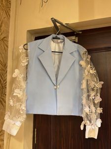 Unique Sheer Sleeve Blazer