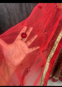Beautiful heavy lehnga